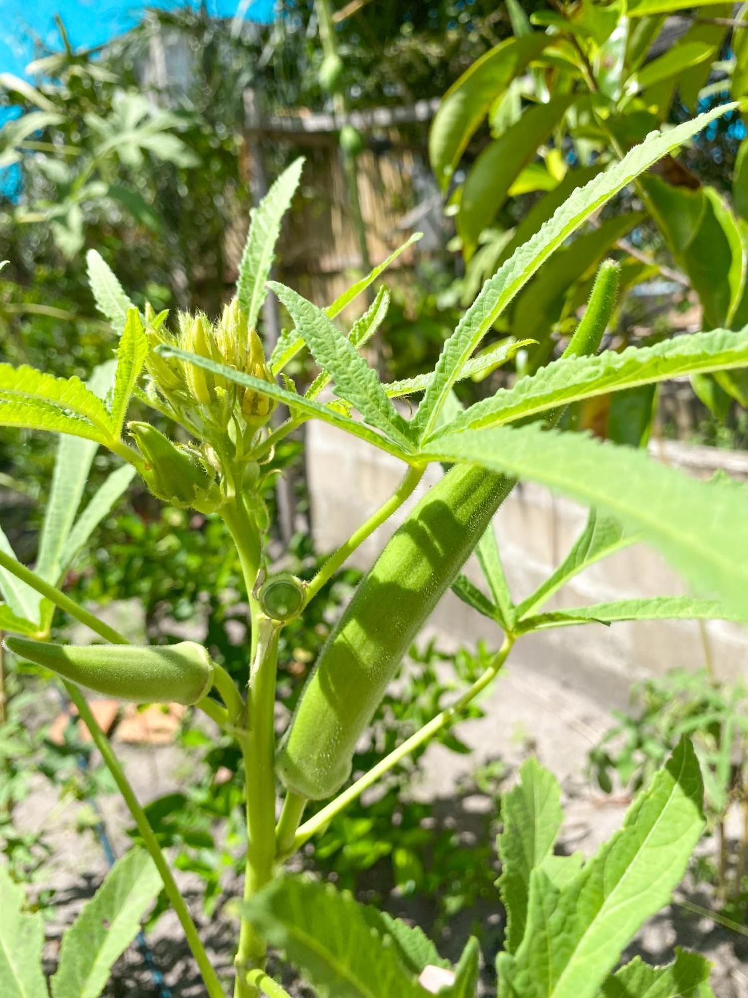 Aldeia Corumbau Ngoại thất bức ảnh